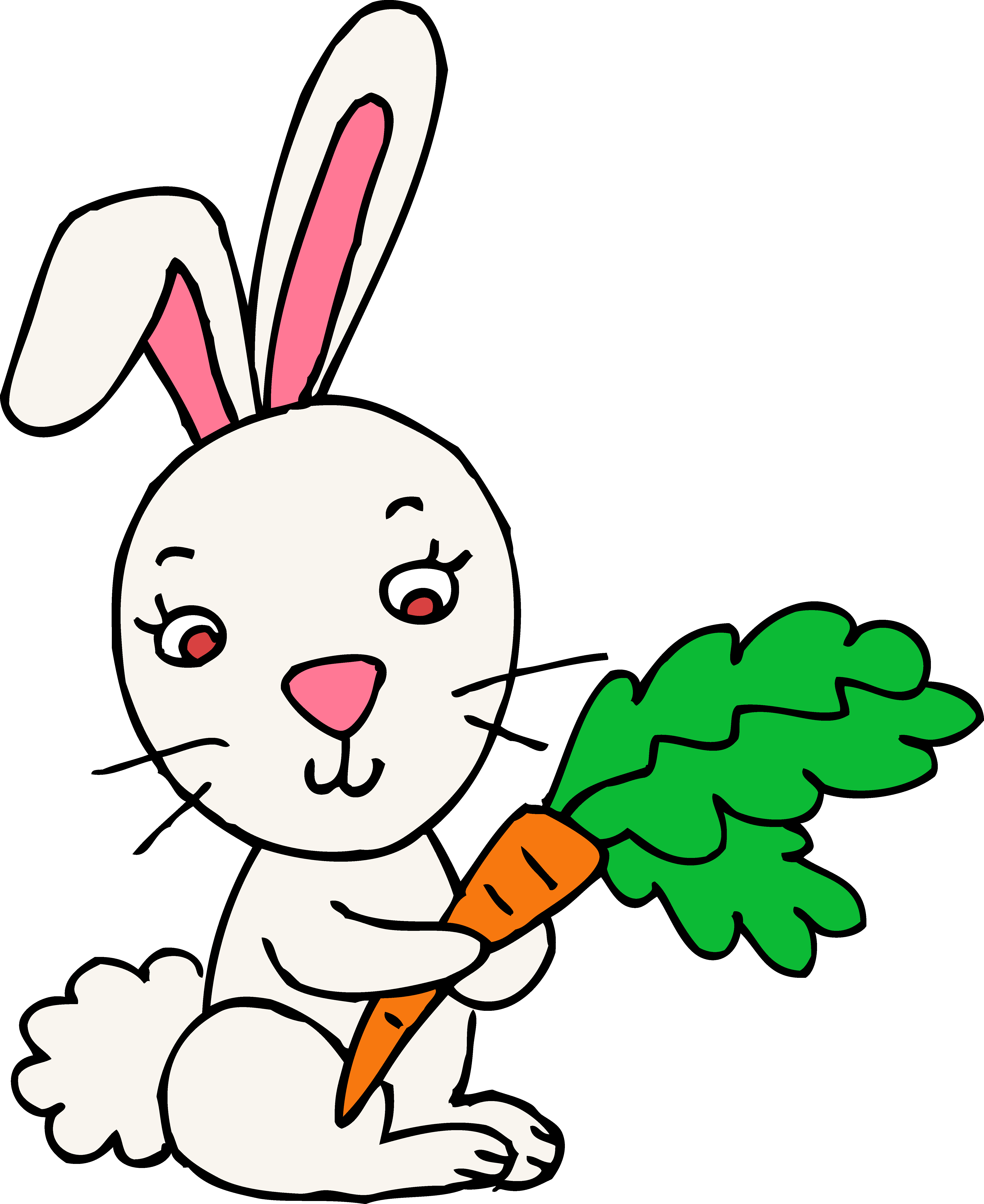 Cute bunny clipart png