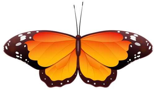 Butterfly Clipart to Download - dbclipart.com