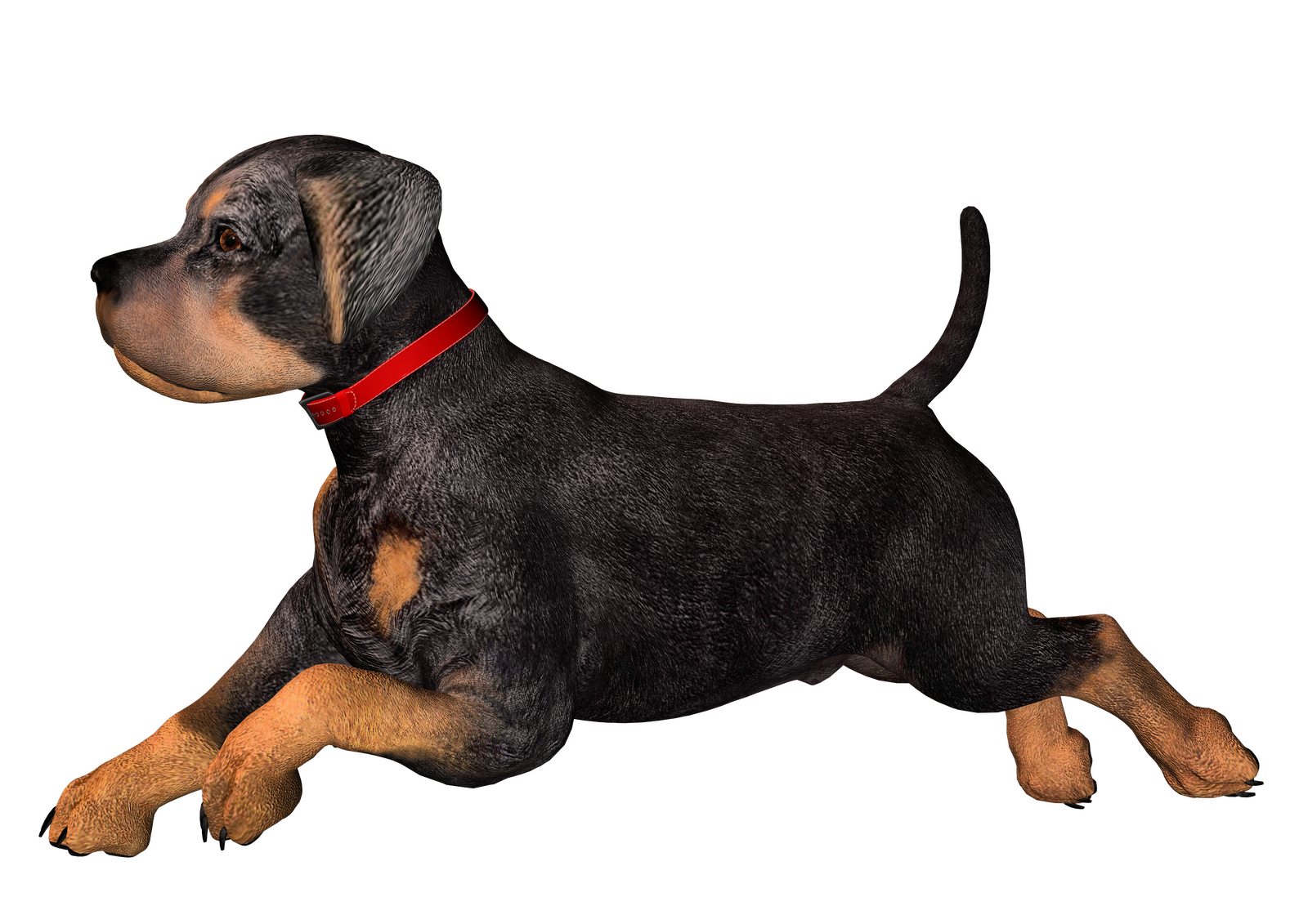 Free High Resolution Graphics And Clip Art: Dog Png Graphics ...