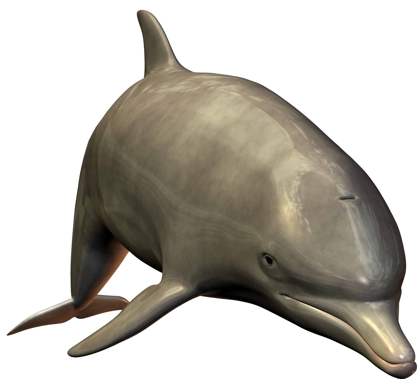 dolphin_PNG9122.png