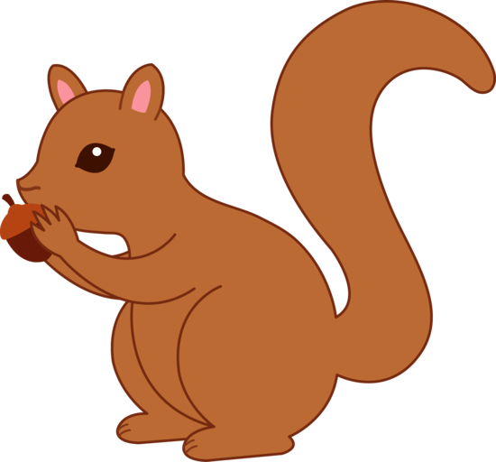 Clipart squirrel