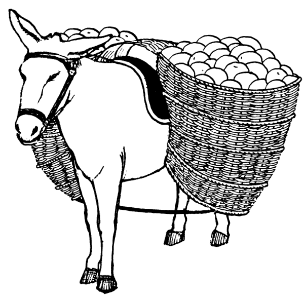 Free donkey clipart 1 page of public domain clip art 2 image #37543