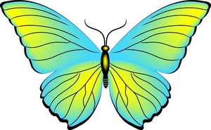 Butterfly Clipart - Free Clipart Images