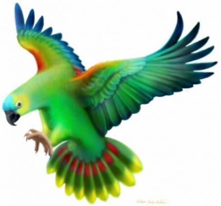 130 Parrot Flying | Tiny Clipart