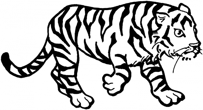 Tiger Outline Drawing - ClipArt Best