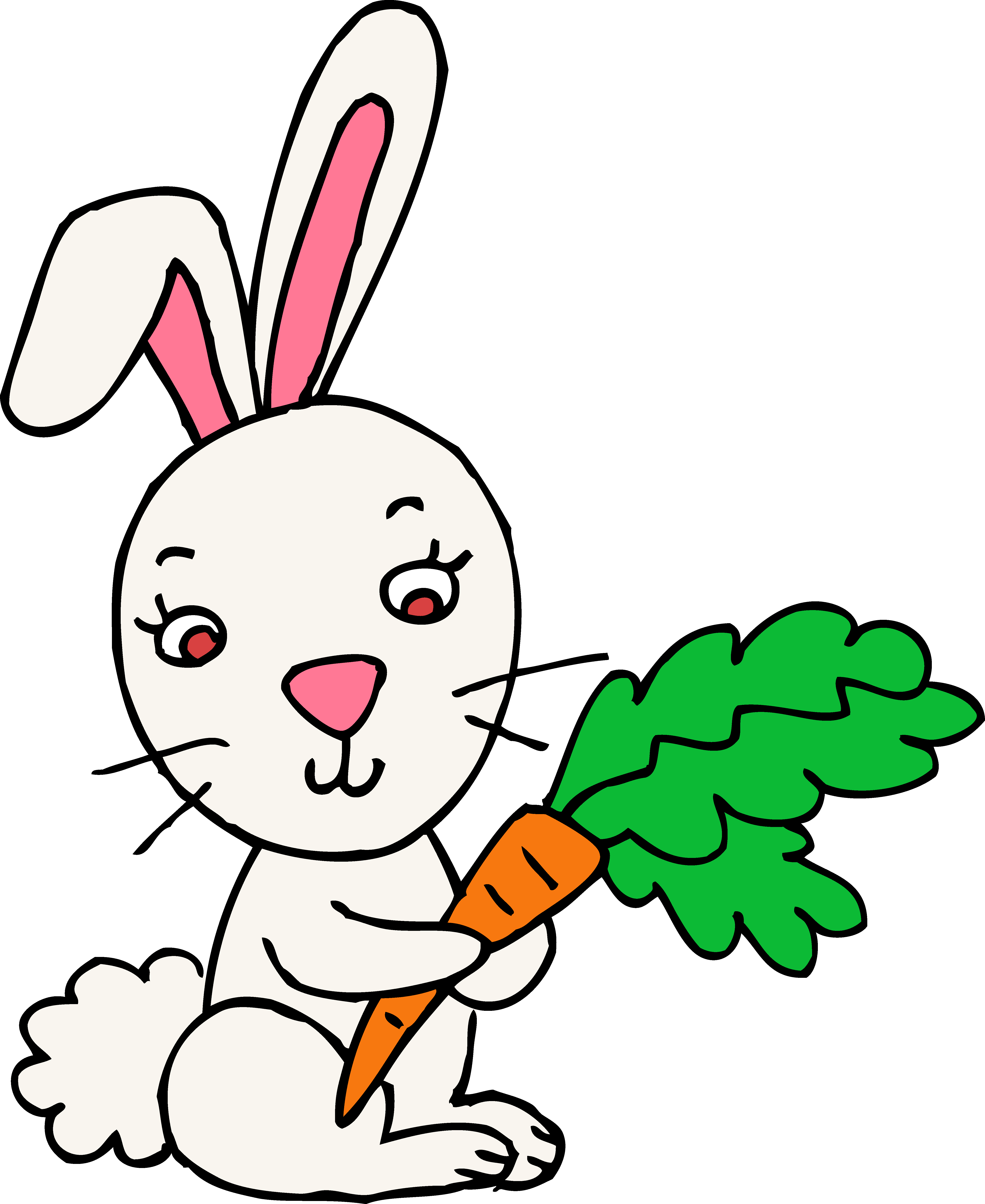 Bunny clipart images