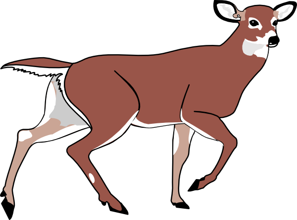 Doe deer cute clipart