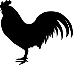 Outline chicken clip art free vector image #3167