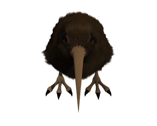 kiwi bird 3ds