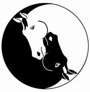 Horse Yin Yang - ClipArt Best