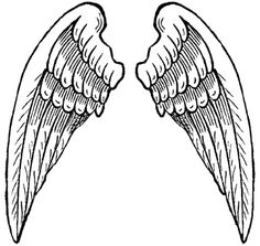 Wings on angel wings bird wings and angel wings drawing clipart ...