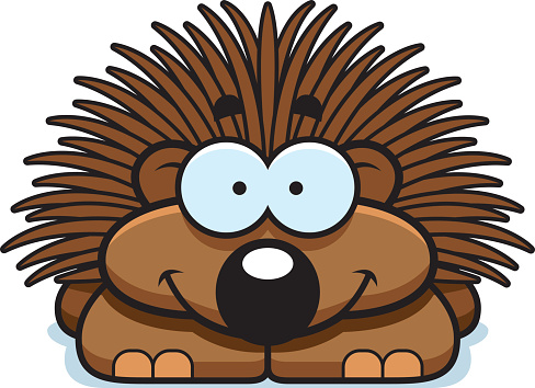 Porcupine Clip Art, Vector Images & Illustrations