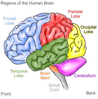 Diagram of