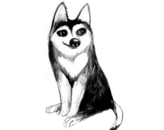 Cool Dog Drawings Clipart - Free to use Clip Art Resource