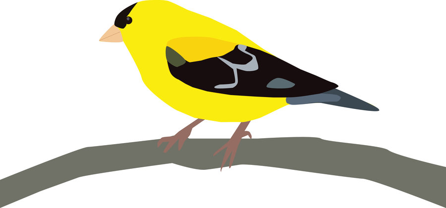 Goldfinch