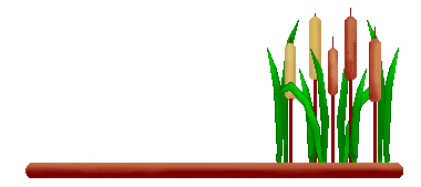 Cattail Clipart - Cattails on a Brown Linebar - Cattails