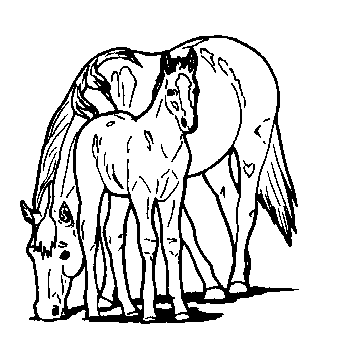 Printable Horse Head - ClipArt Best