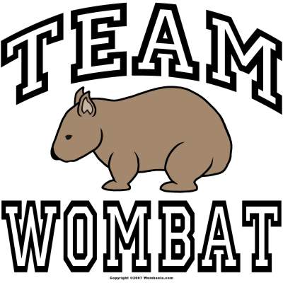 Wombat Mascots and Logos | ferrebeekeeper