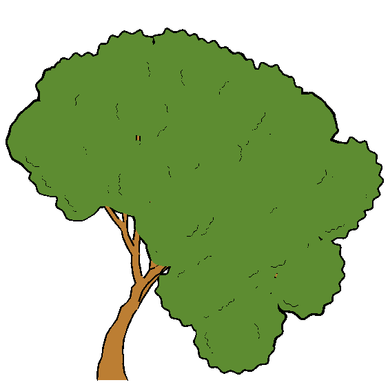 Rendering Artistic and Believable Trees for Cartoon Animation