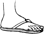 Keyword: "foot" | ClipArt ETC