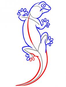 How to Draw a Gecko, Step by Step, Reptiles, Animals, FREE Online ...