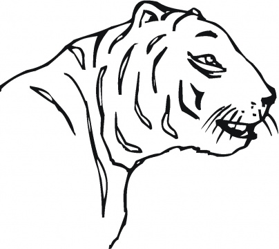 Tiger Face Pencil Coloring Pages