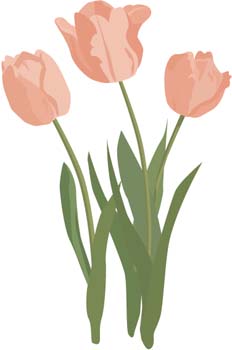 Tulip Flower 13 vector, free vectors