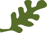 Oak Leaf Clip Art and Menu Graphics - MustHaveMenus( 15 found )