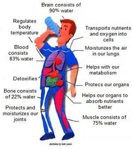 11 Benefits of Drinking Water