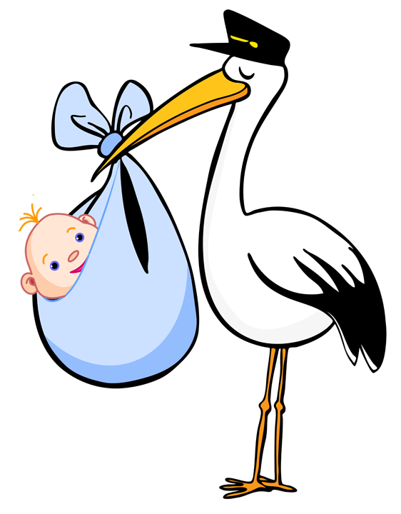 Stork And Baby Images