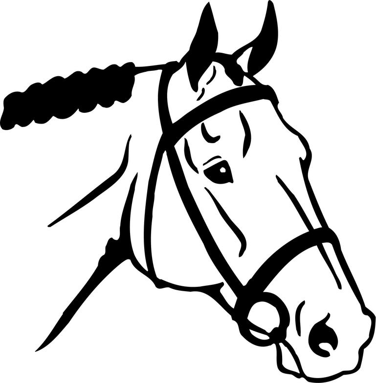 Cute Horse Head Clip Art - Free Clipart Images