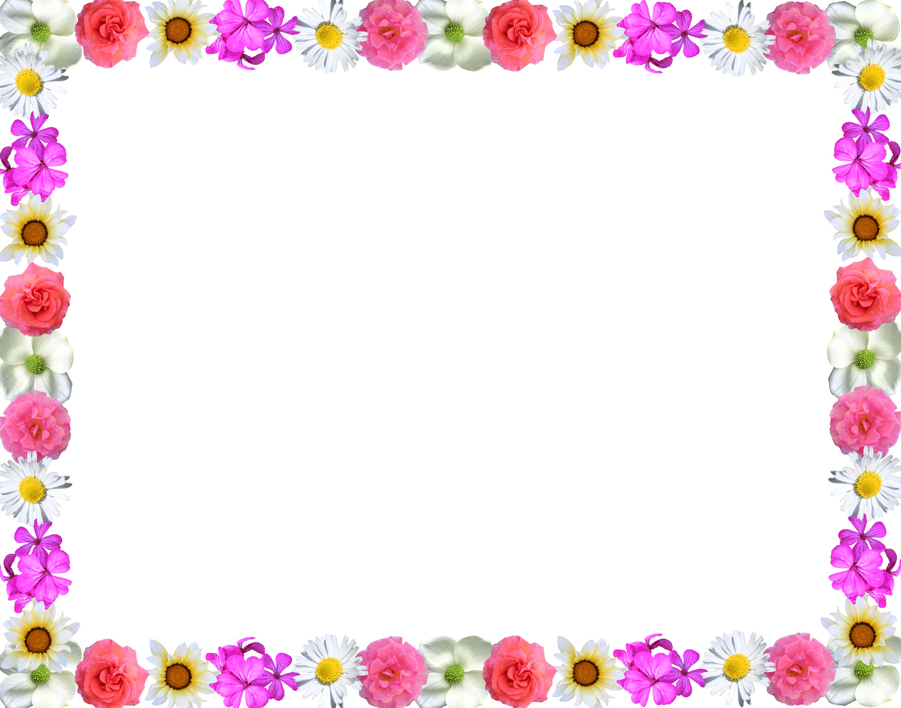 word template flower border