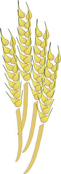 Wheat Clip Art - vector clip art online, royalty free ...