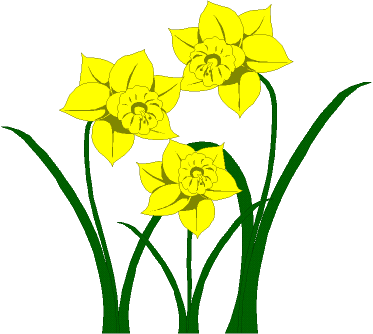 Clipart Daffodils