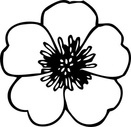 Black And White Flower Outline