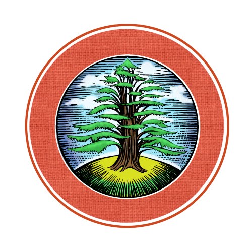 Cedar Tree Drawing - ClipArt Best