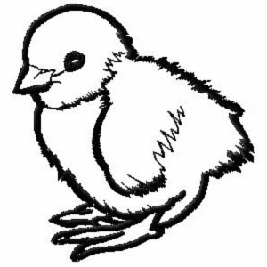 Baby Chicken Clipart Black And White