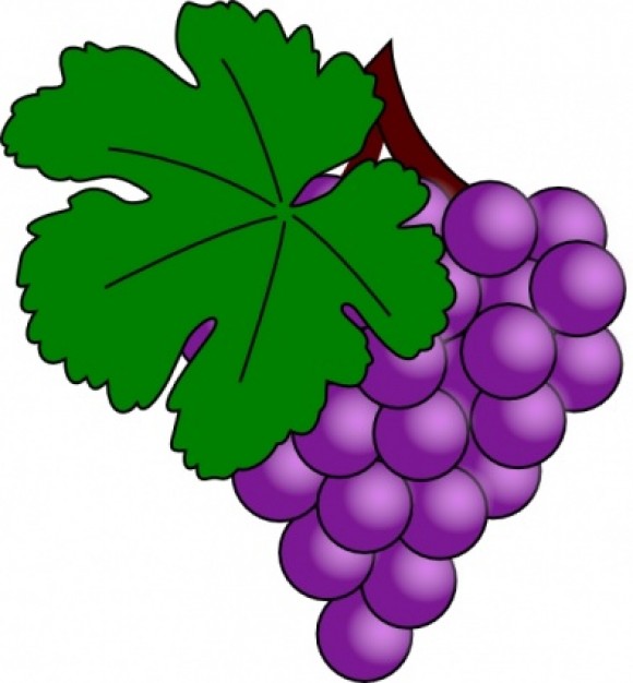 Grape Vine Clip Art