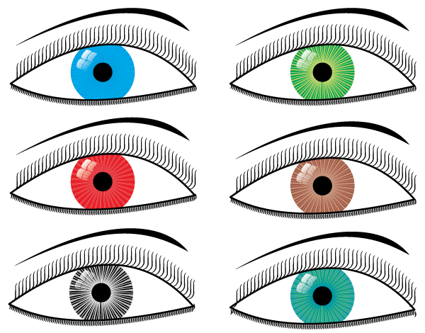 Eyes Clipart Free Vector | 123Freevectors