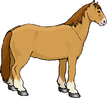 Pretty horse clipart