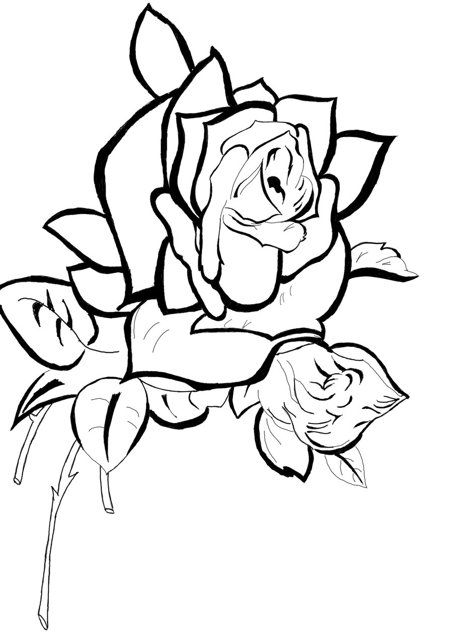 Rose Line Drawings - ClipArt Best