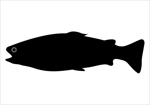 1000+ images about FISH SILHOUETTE