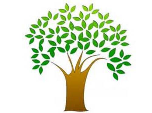 Free clipart tree leaves
