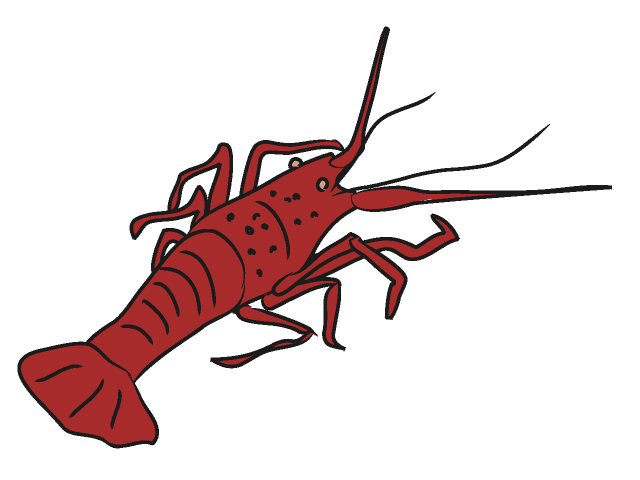 Free lobster clipart 1 page of public domain clip art - Clipartix