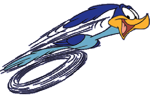 Roadrunner road runner clipart