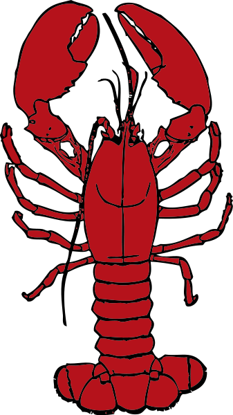 Clip art lobster clipart clipart - Clipartix