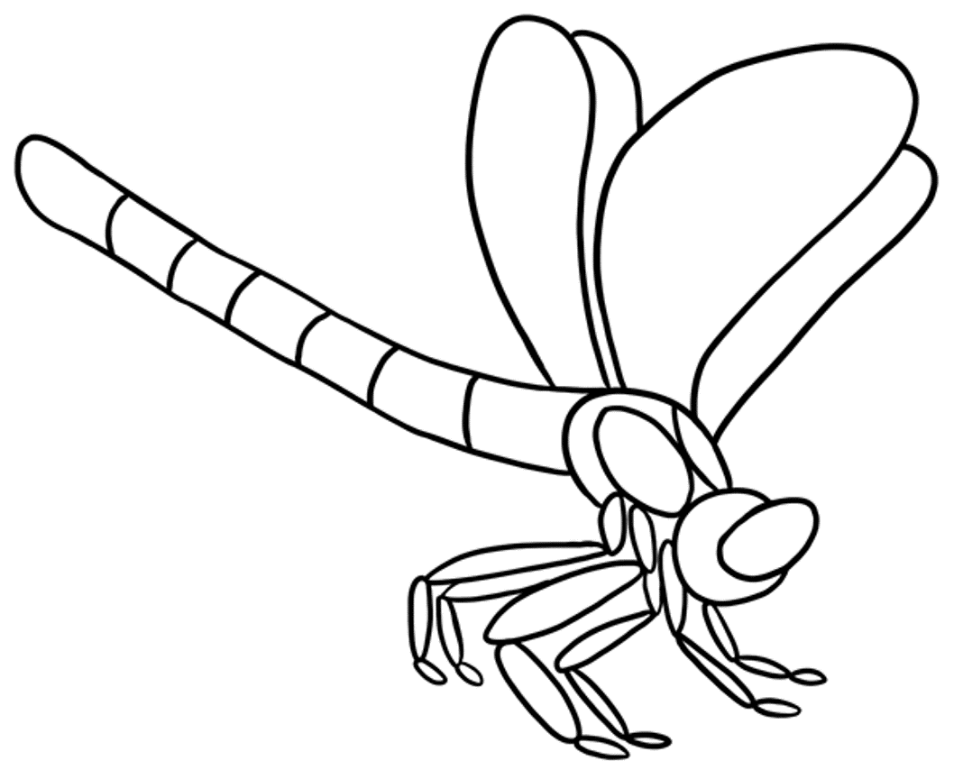 Free Dragonfly Coloring Page | Animal Coloring pages of ...