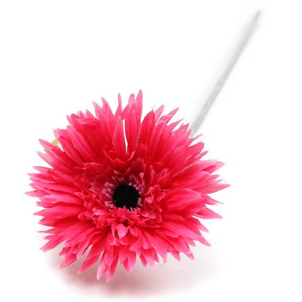 Pink Spider Gerbera 57 Cm | Hobbycraft