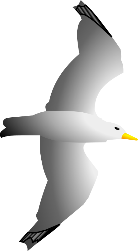 Clip Art Seagull