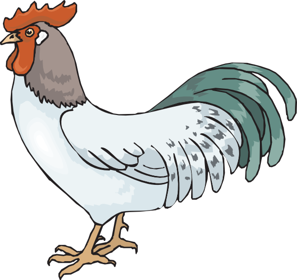 Rooster clipart